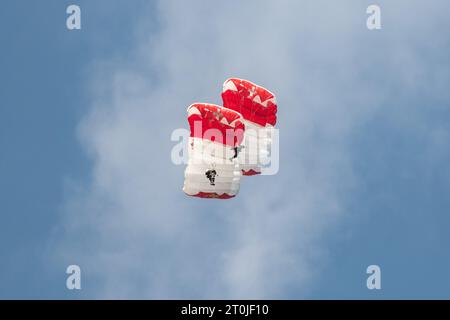 Mollis, Svizzera, 18 agosto 2023 paracadutisti durante un'esposizione aerea Foto Stock