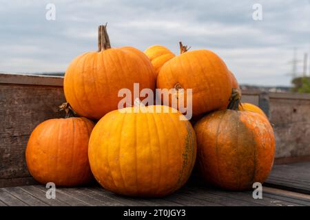 Gablingen, Baviera, Germania. 7 ottobre 2023. Raccolta di zucche, raccolta di zucche presso uno stand di vendita in legno in autunno. Vendita di zucca direttamente dall'agricoltore *** Kürbisernte, geerntete Kürbisse an einem Verkaufsstand aus Holz im Herbst. Kürbis Verkauf direkt vom Landwirt credito: Imago/Alamy Live News Foto Stock