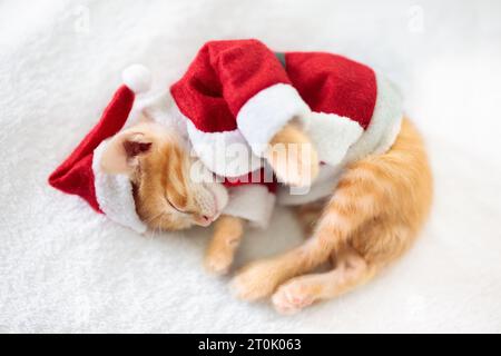 Baby gatto in costume di Natale e cappello di Santa. Ginger cucciolo neonato che dorme sotto coperta di lana. Accogliente giornata invernale natalizia con animali domestici a casa. Ora di protezione accesso alla rete. Foto Stock