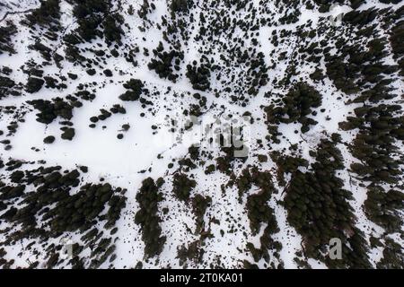 Vista aerea con drone sul passo più spettacolare delle Alpi svizzere - passo Maloja a Grison, Svizzera. Foto Stock