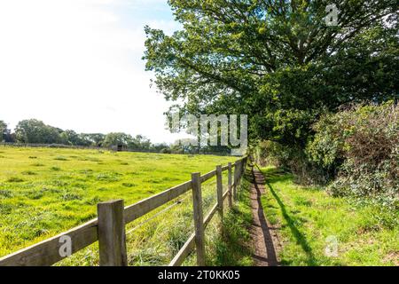 Camminando lungo un sentiero di campagna passando davanti a un campo recintato con una recinzione di legno Foto Stock