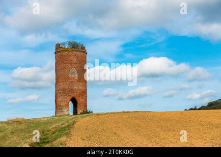 Wilder's Folly on Nuntide Hill a Reading, Regno Unito, visto in autunno contro un cielo blu. Foto Stock