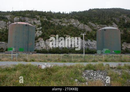 Carri armati al lago Quidi vidi a St. John's, Newfoundland & Labrador Foto Stock