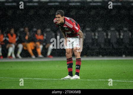 San Paolo, San Paolo, Brasile. 7 ottobre 2023. San Paolo (SP), 10/07/2023 - BRAZILEIRO/CORINTHIANS of Sao Paulo, questo sabato 7 ottobre 2023. (Immagine di credito: © Ronaldo Barreto/TheNEWS2 via ZUMA Press Wire) SOLO USO EDITORIALE! Non per USO commerciale! Foto Stock