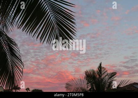 San Diego. 7 ottobre 2023. Il tramonto in autunno con palme e nuvole a San Diego, California sabato 7 ottobre 2023 (Credit Image: © Rishi Deka/ZUMA Press Wire) SOLO PER USO EDITORIALE! Non per USO commerciale! Foto Stock