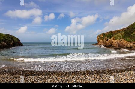 Little Haven Beach nella baia di St Brides sulla costa del Pembrokeshire, Galles sud-occidentale, Regno Unito Foto Stock