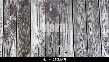 Sfondo grigio legno di striscione lungo con tavole verticali. Foto Stock