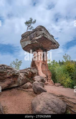 Formazione di arenaria Tavola del Diavolo nei pressi di Hinterweidenthal nella Foresta Palatinata. Wasgau, Renania-Palatinato, Germania, Europa Foto Stock