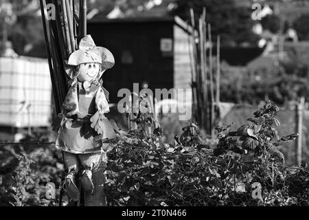 Spaventapasseri sull'assegnazione Foto Stock