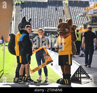 Wolverhampton, Regno Unito. 8 ottobre 2023; Molineux Stadium, Wolverhampton, West Midlands, Inghilterra; Premier League Football, Wolverhampton Wanderers contro Aston Villa; mascotte dei Wolves che si preparano a salutare i tifosi credito: Action Plus Sports Images/Alamy Live News Credit: Action Plus Sports Images/Alamy Live News Foto Stock