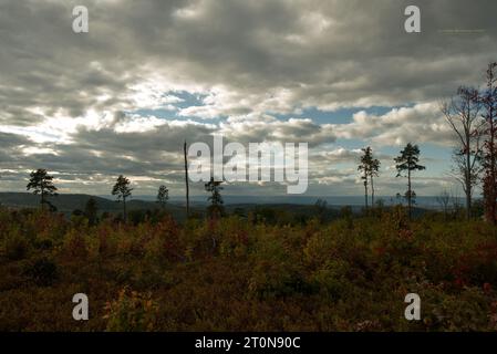 Vista dalla regione di North Terminus della foresta statale di Michaux Foto Stock