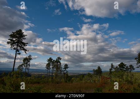 Vista dalla regione di North Terminus della foresta statale di Michaux Foto Stock