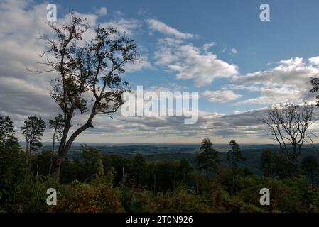 Vista dalla regione di North Terminus della foresta statale di Michaux Foto Stock