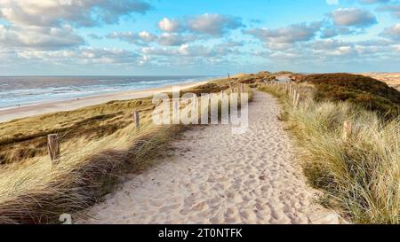 Dune di Egmond aan Zee (Schoorlse Duinen) sul Mare del Nord olandese. Egmond aan Zee, Paesi Bassi, Europa. Foto Stock