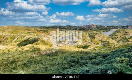 Dune di Egmond aan Zee (Schoorlse Duinen) sul Mare del Nord olandese. Egmond aan Zee, Paesi Bassi, Europa. Foto Stock