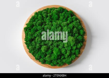 Il muschio stabilizzato sulla parete forma un elemento di design bello e naturale, che aggiunge un tocco di freschezza e stabilità all'arredamento complessivo. Foto Stock