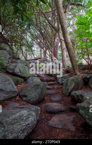 Un tortuoso sentiero in pietra attraversa la foresta nella riserva naturale del fiume Ipswich della Massachusetts Audubon Society. Foto Stock