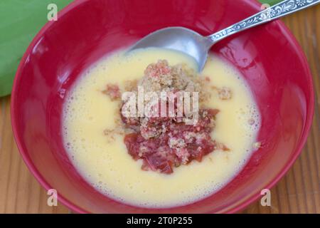Una ciotola di rabarbaro e crumble di mele con crema pasticcera e cucchiaio Foto Stock