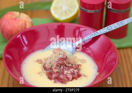 Una ciotola di rabarbaro e rumble di mele con crema pasticcera Foto Stock