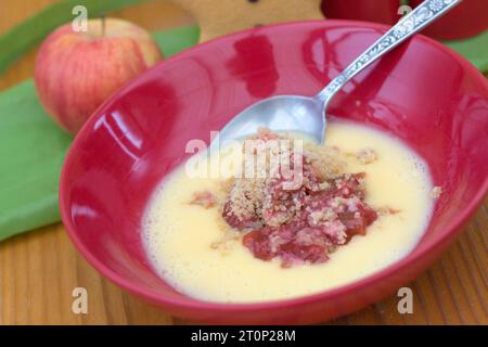 Un piatto di rabarbaro e crumble di mele e budino invernale con crema pasticcera Foto Stock