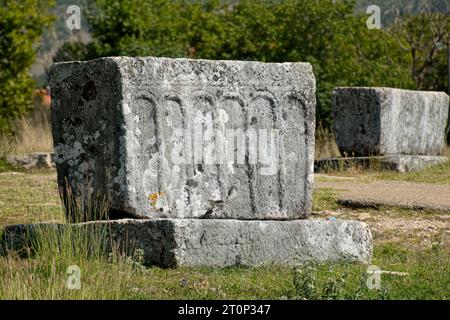 Lapidi medievali intorno al lago Bileca in Bosnia ed Erzegovina Foto Stock