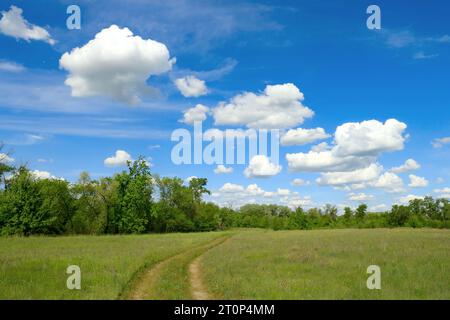 Strada rurale attraverso prati verdi sotto le belle nuvole nel cielo. Lo prenda in Ucraina Foto Stock