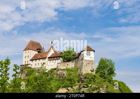 Castello di Burgdorf lungo il fiume Emme in alto su un'entrata collinare a Emmental, cantone Berna in Svizzera Foto Stock