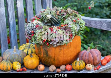 sistemazione autunnale con corona di fiori di ortensia, fianchi di rosa e mele di granchio sulla zucca Foto Stock