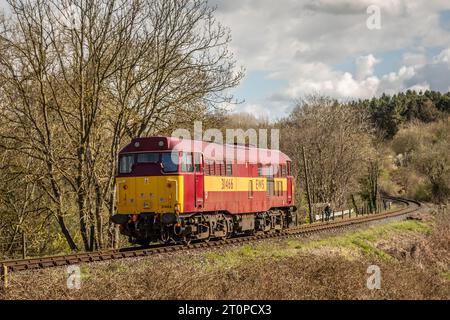 EWS Class 31 No. 31466 passa vicino a Hay Bridge sulla Severn Valley Railway, Shropshire, Inghilterra, Regno Unito Foto Stock