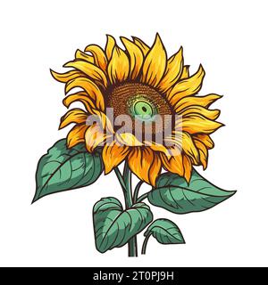 Girasole. Immagine del girasole isolata. Grazioso disegno di girasole in design piatto. Illustrazione vettoriale Illustrazione Vettoriale