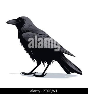 Immagine corvo. Corvo nero isolato su sfondo bianco. Immagine di un corvo. Illustrazione vettoriale. Illustrazione Vettoriale