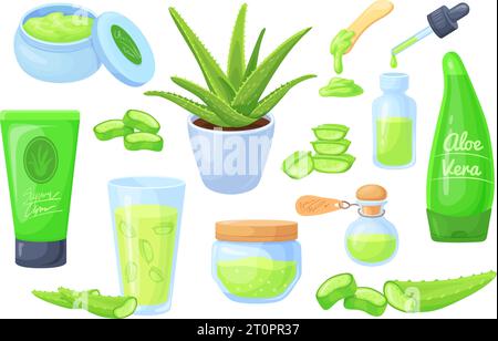 Cartone animato aloe vera. Affettare piante succulente, gel di succo su erbe di cactus naturali, prodotto cosmetico spa, olio crema o siero per la cura della pelle del viso e delle mani, illustrazione del vettore di bellezza del succo succulento di aloe Illustrazione Vettoriale