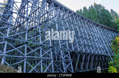 Il Kinsol Trestle sul fiume Koksilah nel lago Shawnigan, Columbia Britannica, Canada. Foto Stock