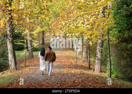 Sentiero autunnale con foglie gialle. Persone che camminano nel parco autunnale con foglie dorate durante il tempo soleggiato Foto Stock