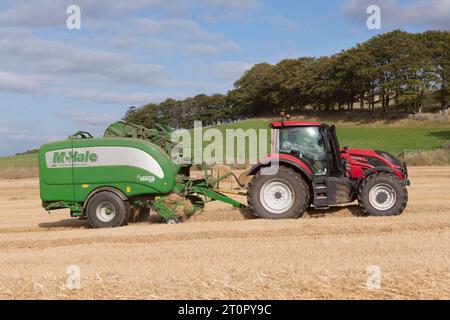 Un trattore Valtra t195 rosso che balla la paglia d'orzo con una pressa McHale Fusion Vario in un Sunny Field all'inizio dell'autunno Foto Stock