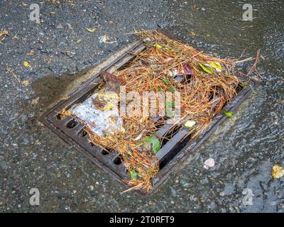 Le acque piovane sono ostruite da detriti. Infrastrutture cittadine. Doccia dopo la pioggia. Sull'asfalto Foto Stock