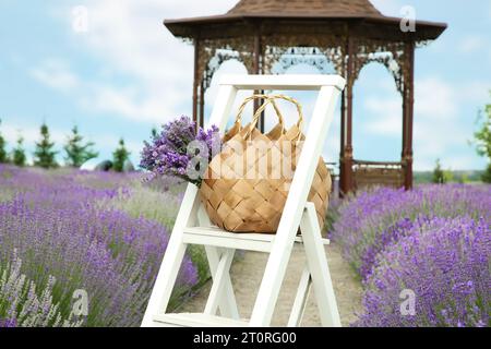 Borsa in vimini con splendidi fiori di lavanda all'aperto Foto Stock