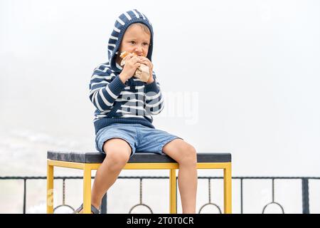 Il bambino affamato con cappuccio mangia un panino seduto sul tavolo nel giorno nebbioso nel parco di montagna. Un bambino simpatico assaggia uno spuntino riposando nella nebbiosa altopiano Foto Stock