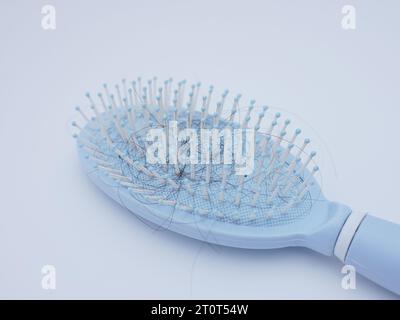 spazzola per capelli blu con capelli persi su sfondo bianco Foto Stock