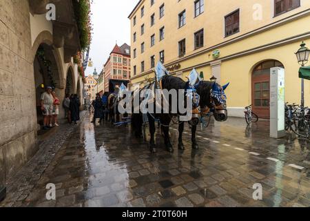 Monaco, Germania, UE - 13 settembre 2023. La parata del festival della birra dell'Oktoberfest Hofbrauhaus galleggia con un carro ippico pieno di fusti di birra Hofbrau e barili di birra Foto Stock