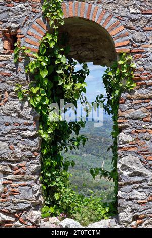 Edera lascia lentamente intorno a un antico bastione costruito in pietra, presso il castello bizantino di Mystras, nella regione della Laconia, Peloponneso, Grecia, Europa Foto Stock