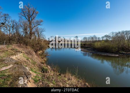 Fiume Odra a CHKO Poodri vicino alla città di Ostrava, nella repubblica Ceca, durante una splendida giornata primaverile Foto Stock