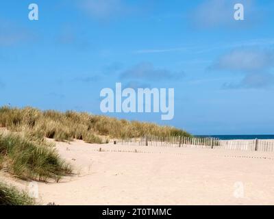 Dune di sabbia, una difesa naturale del mare. Foto Stock