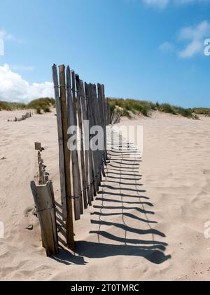 Dune di sabbia, una difesa naturale del mare. Foto Stock