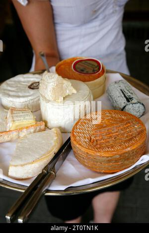 Piatto di formaggi con formaggio tradizionale della Normandia e della Bretagna, Francia. Foto Stock