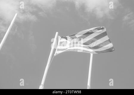 Bandiera nazionale greca aperta in cima a un palo in bianco e nero Foto Stock