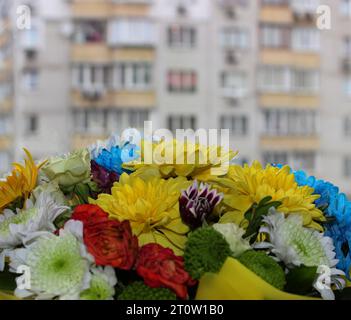 Fiori in fiore vicino alla finestra con vista su Un alto edificio di appartamenti sullo sfondo Foto Stock