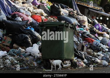 9 ottobre 2023, Yogyakarta, regione speciale di Yogyakarta, Indonesia: Un gatto cammina vicino a un cumulo di rifiuti a Yogyakarta. (Immagine di credito: © Angga Budhiyanto/ZUMA Press Wire) SOLO USO EDITORIALE! Non per USO commerciale! Foto Stock