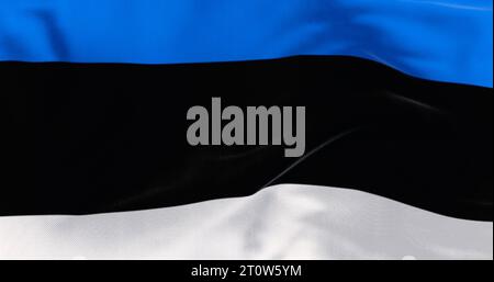 Primo piano della bandiera nazionale dell'Estonia che sventola nel vento. Tre bande orizzontali uguali blu, nero e bianco. rendering dell'illustrazione 3d. Sfondo testurizzato Foto Stock