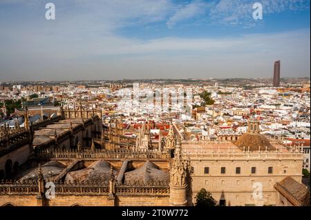 Siviglia, Spagna, Panoramica, paesaggio urbano, Vista grandangolare dall'alto, (dalla Cattedrale) Centro città architettura scenografico Foto Stock